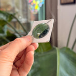 Moss Green Jewel - Round (30mm) Tools Colorado Glass Works