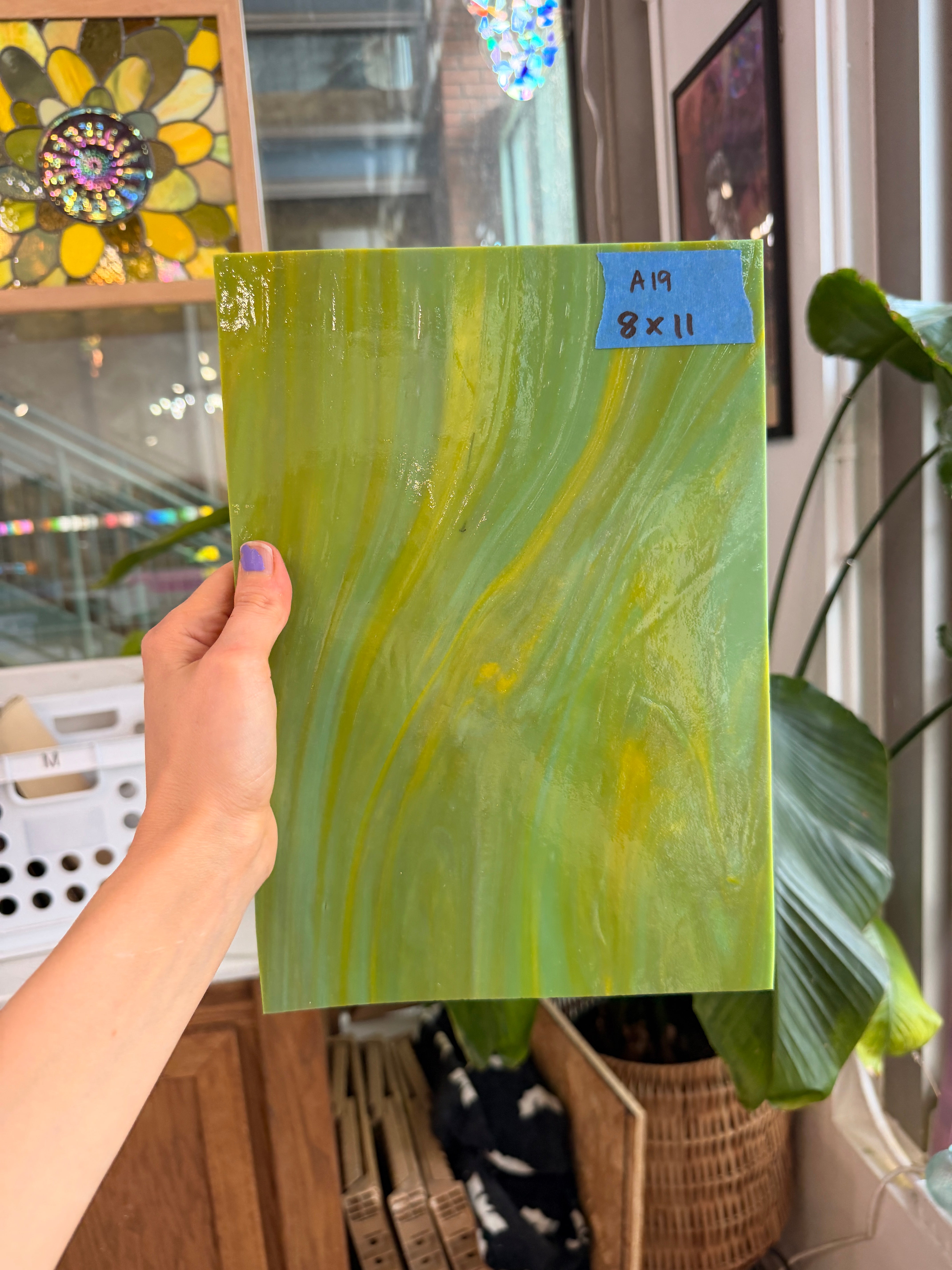 Avocado Opal Wissmach Fusible 96 COE (WI 96 270L) Fusible Sheet Glass Wissmach Glass A19 (11x8in)