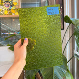 Pear/Lime Green Florentine Wissmach (WI 1146 FLOR) Sheet Glass Wissmach Glass