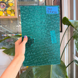 Robin's Egg Teal Florentine Wissmach (WI 25 FLOR) Sheet Glass Wissmach Glass 7.5x12in (WM-68096045)
