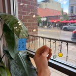 Vintage Light Yellow GNA Transparent Sheet Glass Colorado Glassworks 8x7in (GNA-54884397)