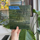 Dark Green Mottled