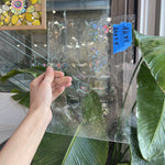 Clear Seedy Transparent