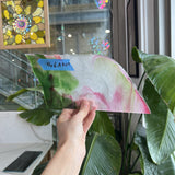Pink Green Mixed Youghiogheny Sheet Glass Youghiogheny Glass AK69 (4x6in)