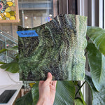 Vintage Green Brown Textured Uroboros Fusible Sheet Glass Uroboros Glass