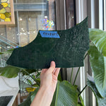 Dark Green Mottled