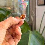 Amber Jewel - Round (15mm)