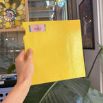 Bullseye Lemon Yellow Canary Fusible 90 COE – BE443