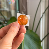 Amber Jewel - Round (25 mm)