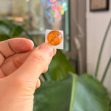Amber Jewel - Round (15mm)
