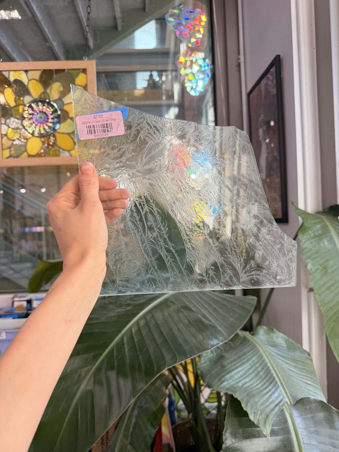 Clear Glue Chip