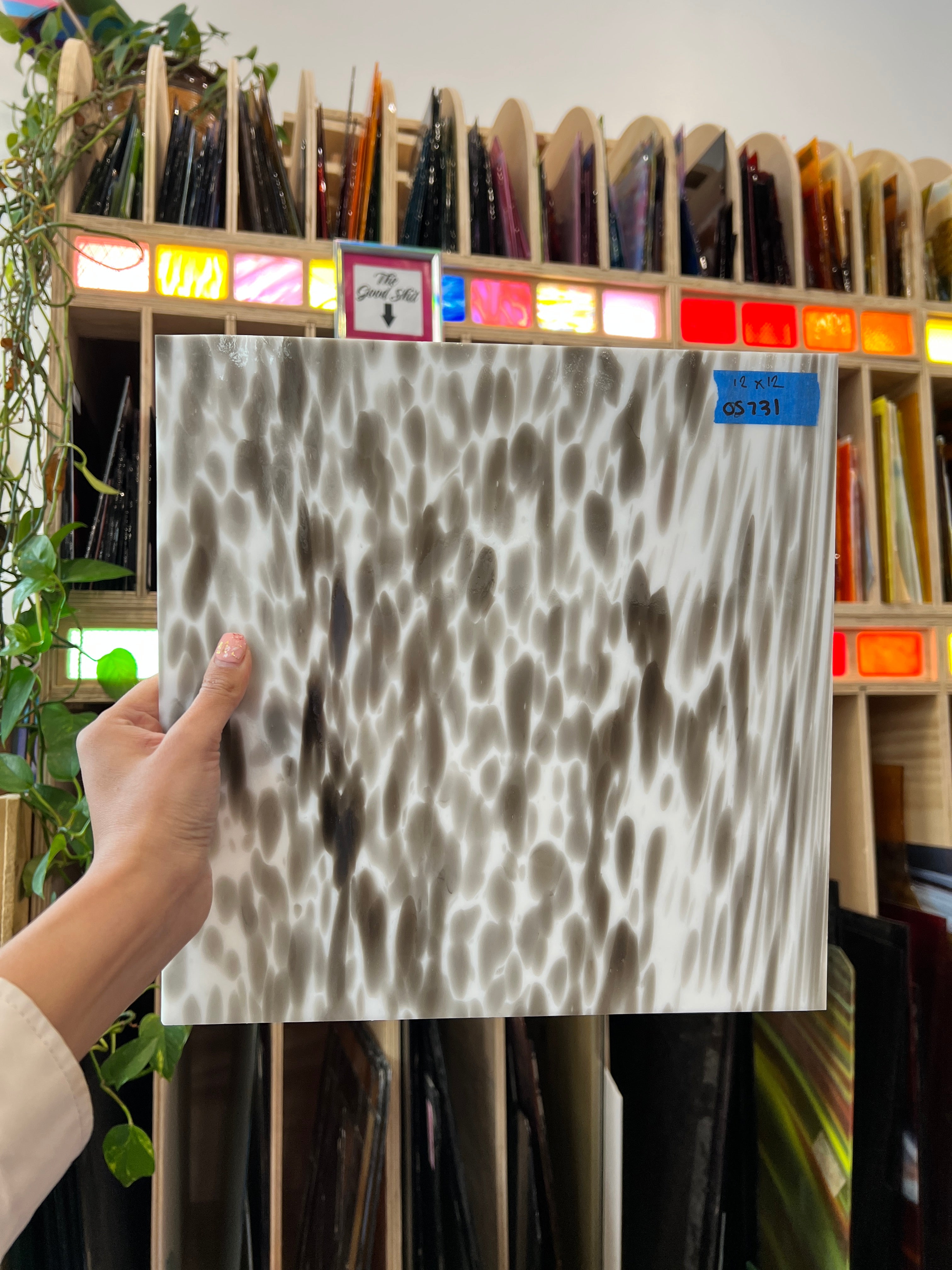 Black White Spotted Spirit Glass Oceanside Fusible 96 COE Sheet Glass Colorado Glassworks OS-BLACKSPOT-SPIR-1 (12x12in)