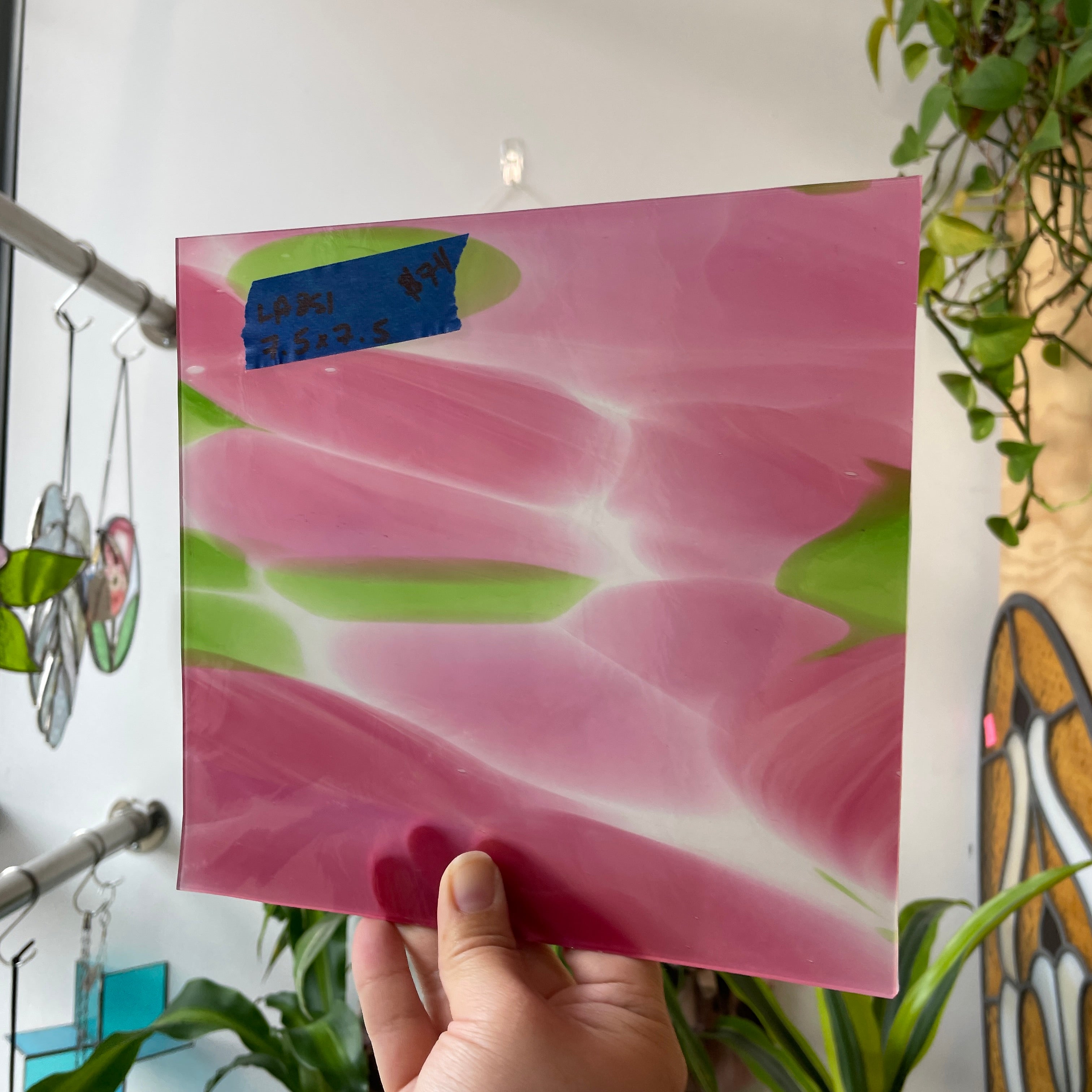 Large Pink Green White Mouth Blown Lamberts Sheet Glass Colorado Glass Works LA851 (7.5x7.5in)