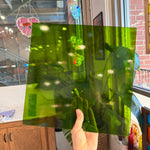 Moss Green Transparent Oceanside Fusible 96 COE (OGT 526.2F) Sheet Glass Colorado Glassworks