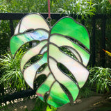 Made To Order | COGW Monstera