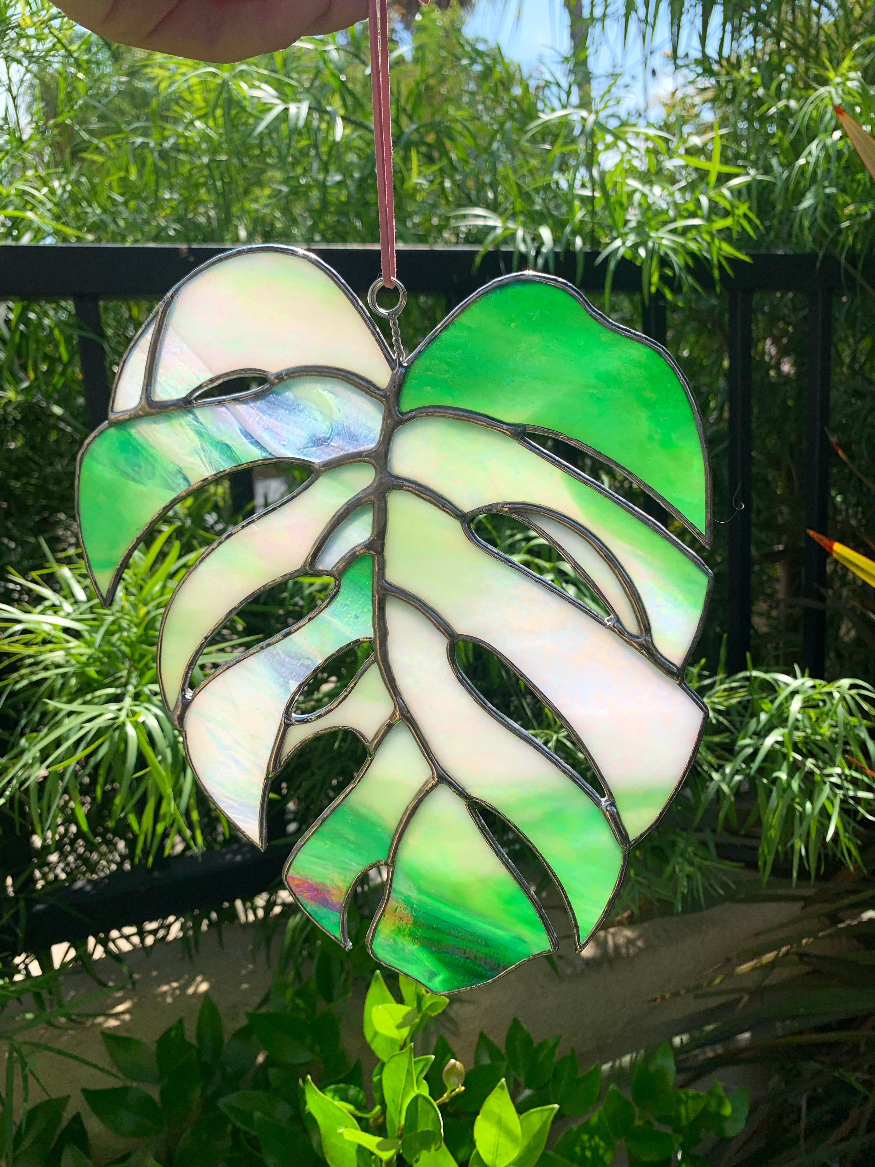 Made To Order | COGW Monstera