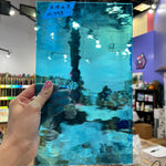 Sky Blue Waterglass Oceanside Fusible 96 COE (OGT 533.1WF) Sheet Glass Colorado Glassworks
