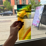 Rainbow Swirl Mouth Blown Lamberts Sheet Glass Colorado Glassworks   