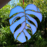 Made To Order | COGW Monstera