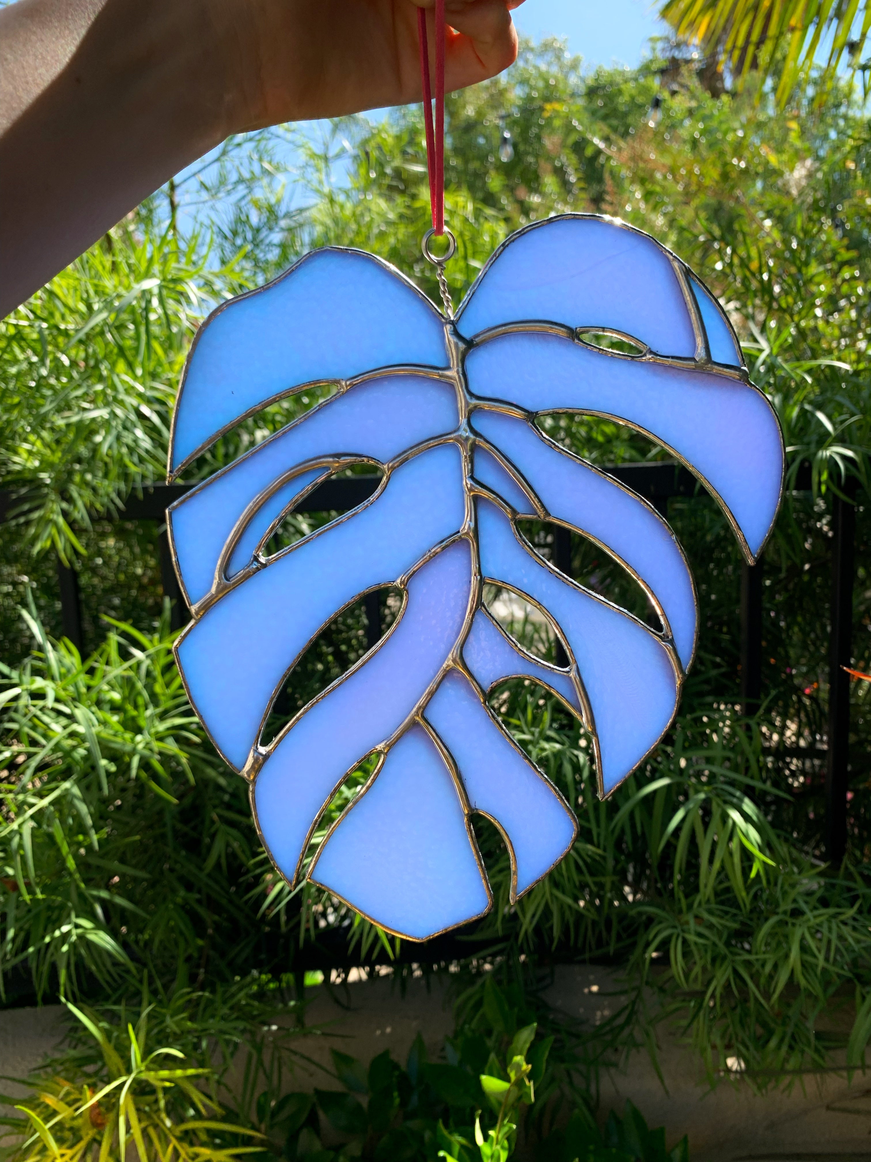 Made To Order | COGW Monstera