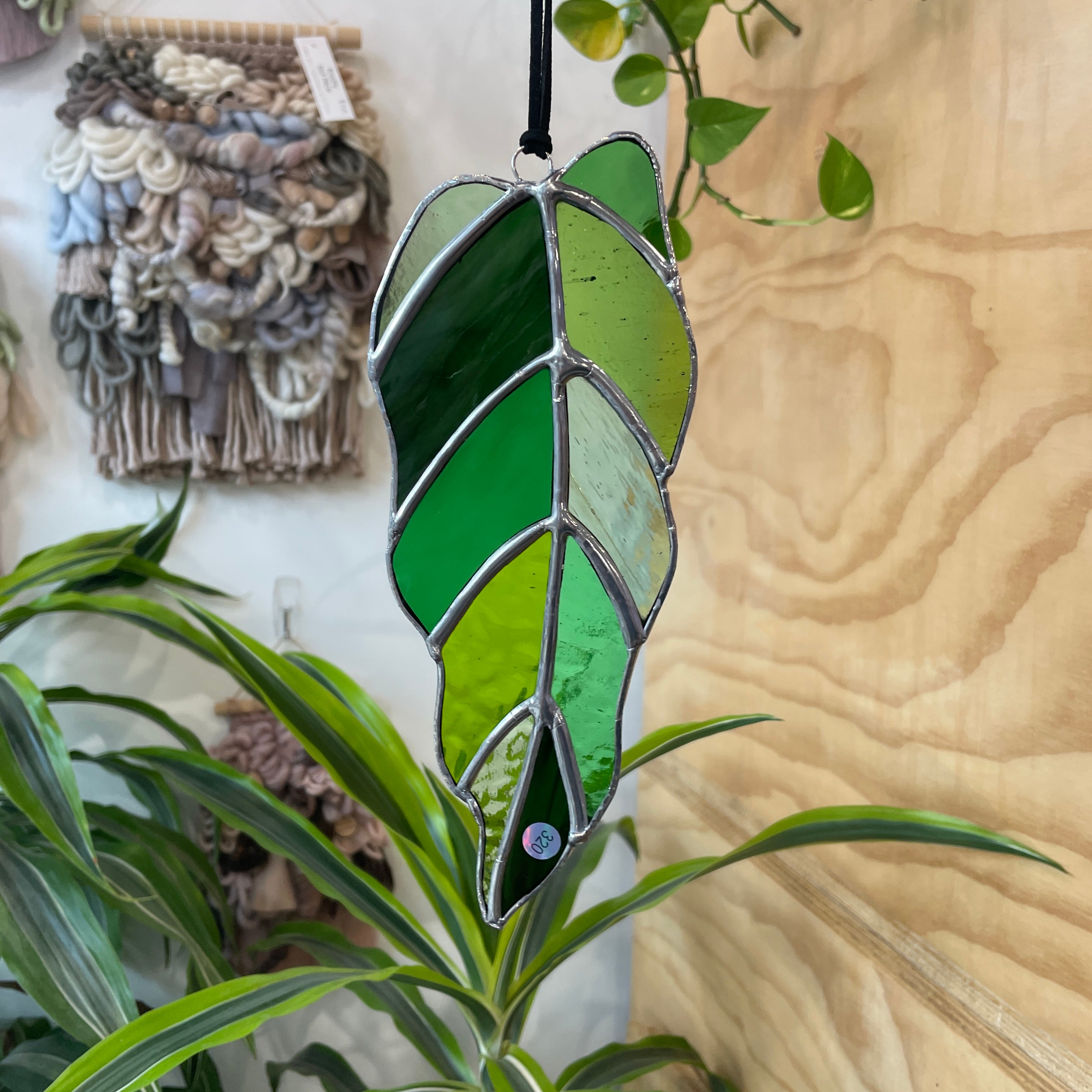 Alocasia Leaf Colorado Glass Works