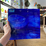 Lamberts Mouth Blown Blue & Opaque White on Clear Flash Glass S55 Sheet Glass Colorado Glassworks LA183 (10.5x10in)  