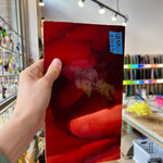 Lamberts Mouth Blown Red & White Opaque on Clear S54 Sheet Glass Colorado Glassworks LA56 (10.5x5.5in)  