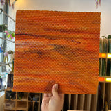 Corn / White with Orange / Yellow and Dark Red Youghiogheny (UBY 58)