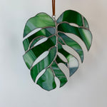 Made To Order | COGW Monstera