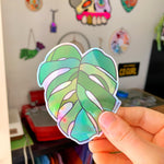 COGW Stickers and Sticker Packs Merch Colorado Glassworks Green Monstera Leaf 3.50 
