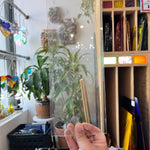 Basic Clear Sheets (S) Sheet Glass Colorado Glassworks C