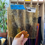 Vintage Transparent Yellow Bullseye Sheet Glass Colorado Glass Works BE645 (6.5x8in)
