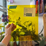 Yellow Waterglass Oceanside Fusible 96 COE Sheet Glass Colorado Glassworks OS57-96 (12x10in)  