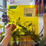 Yellow Waterglass Oceanside Fusible 96 COE Sheet Glass Colorado Glassworks OS57-96 (12x10in)  