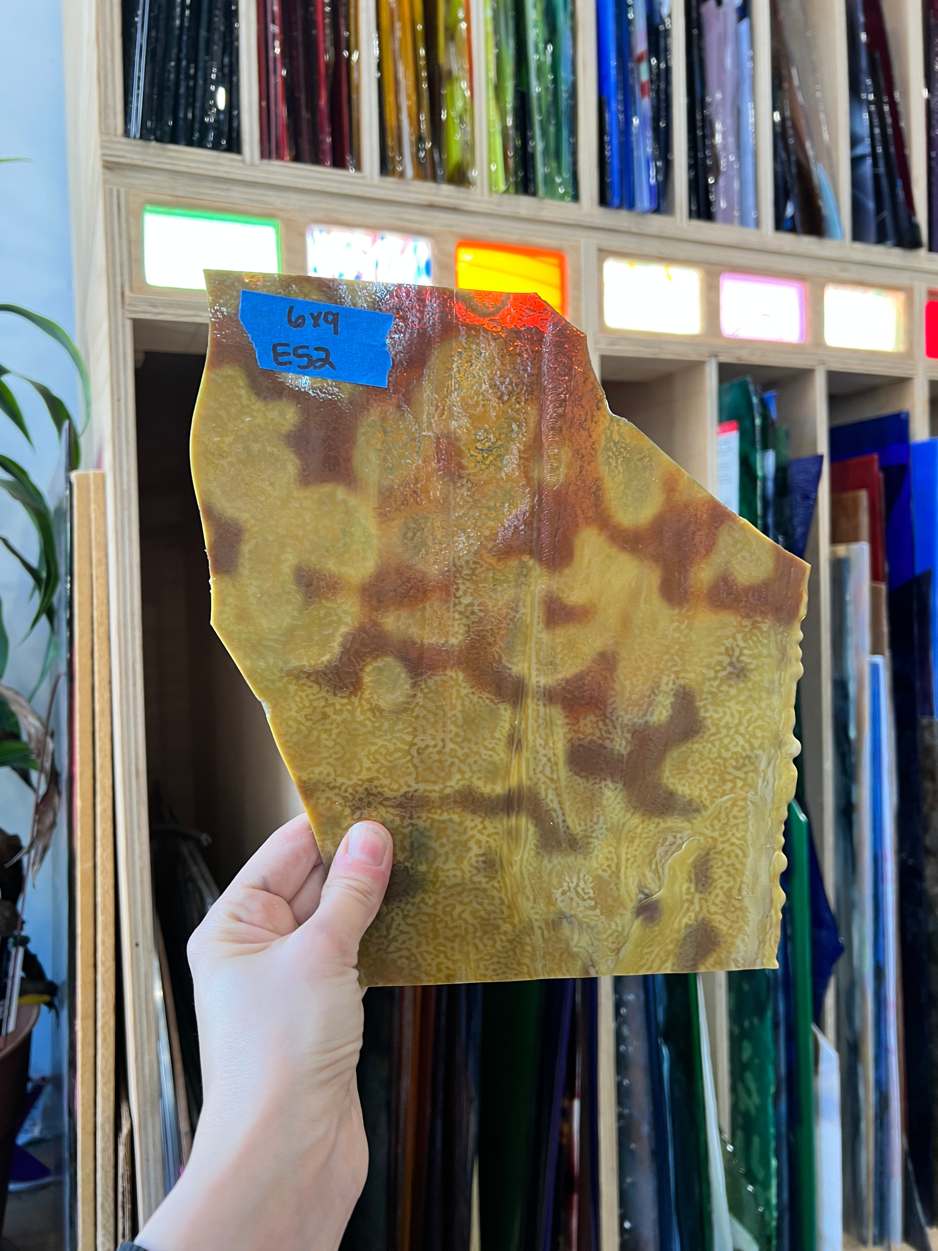 Tan Yellow Mottled Youghiogheny Sheet Glass Colorado Glassworks E52 (6x9in)