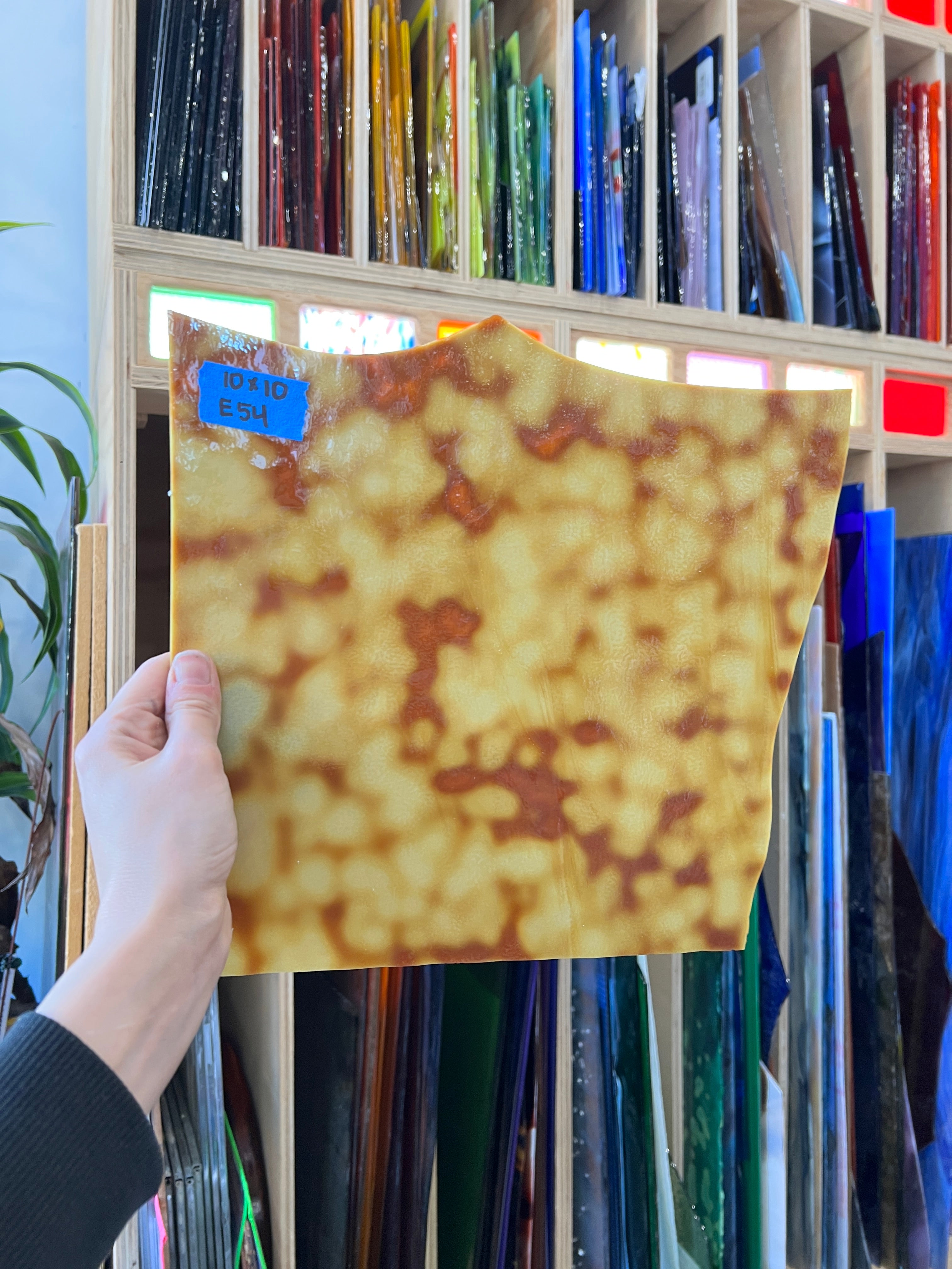 Tan Yellow Mottled Youghiogheny Sheet Glass Colorado Glassworks E54 (10x10in)