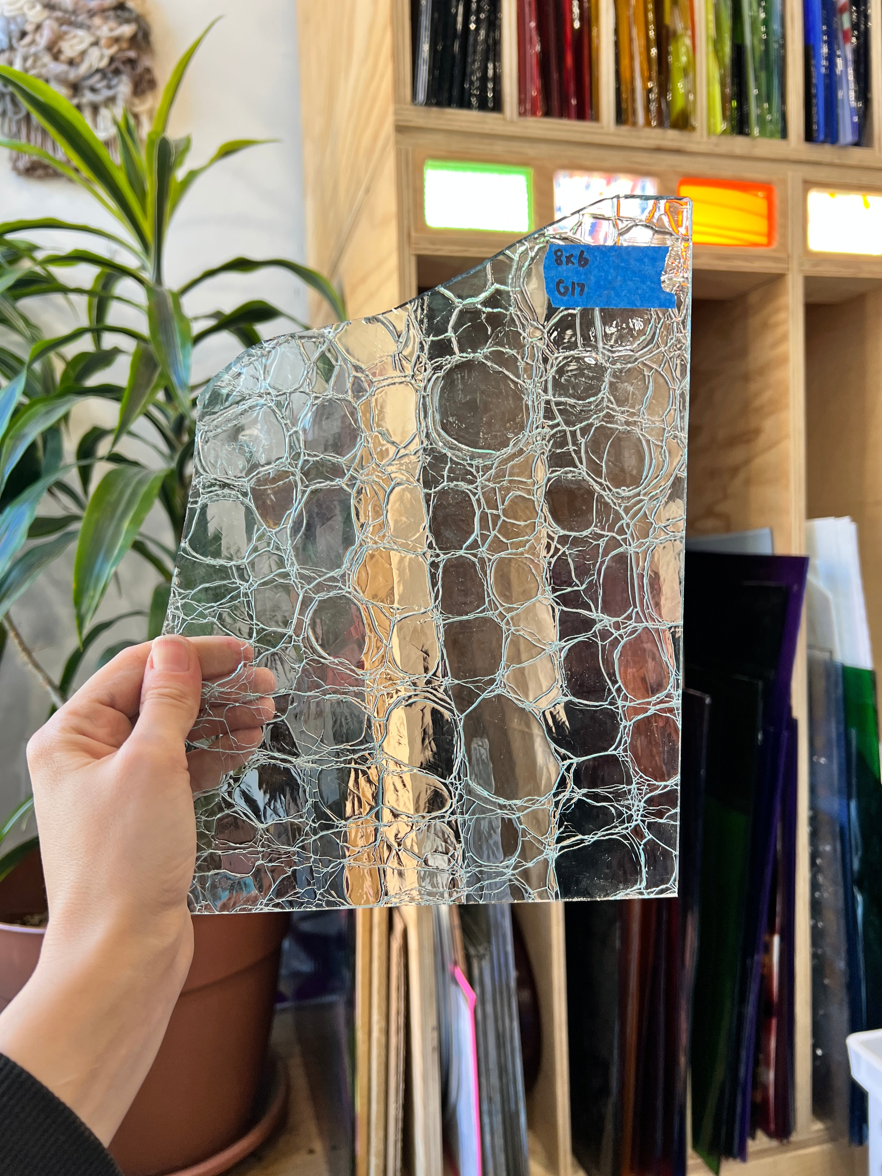 Clear Lamberts Crackle Mouth Blown Sheet Glass Colorado Glassworks G17 (8x6in)