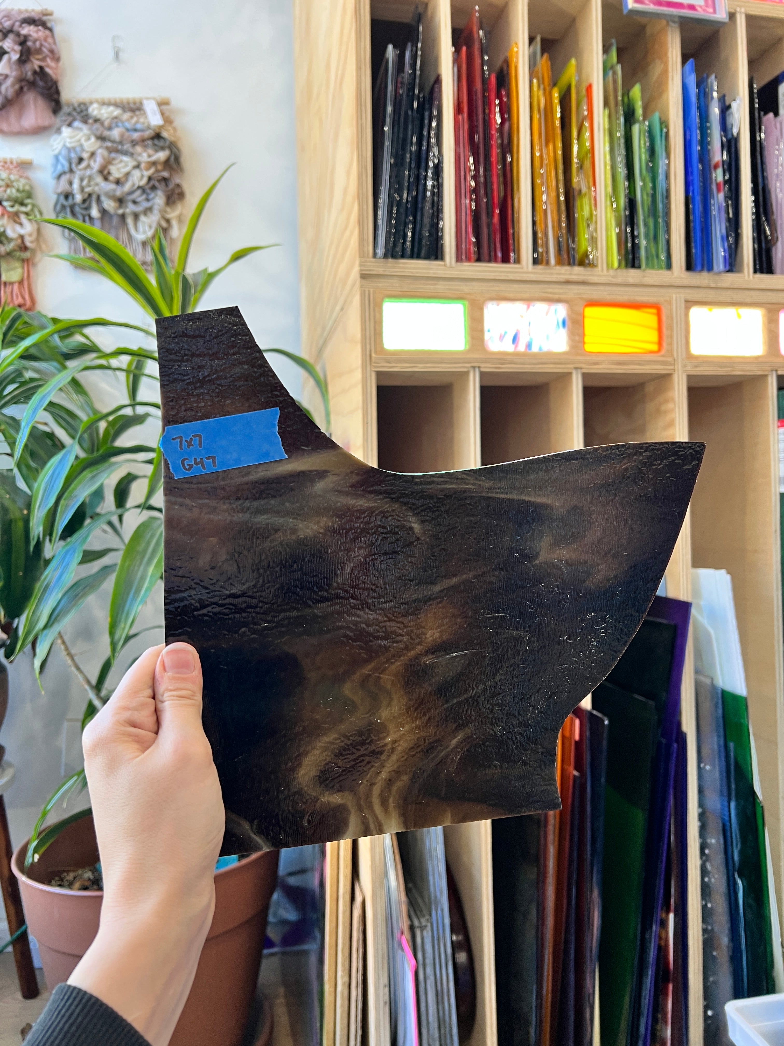 Medium Brown White Wispy Bullseye