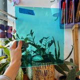 Caribbean Blue Fusible 96 COE (OGT 532.1F) Sheet Glass Colorado Glassworks OS-CARIBBEAN-T (12x6in)