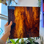 Brown/Gold Streaky Granite Oceanside Fusible 96 COE (OGT 411.15GF) Sheet Glass Colorado Glassworks OS-BROWNMIX-G (12x12in)