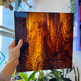 Brown/Gold Streaky Granite Oceanside Fusible 96 COE (OGT 411.15GF) Sheet Glass Colorado Glassworks OS-BROWNMIX-G (12x12in)