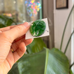 Green Jewel - Oval (40x30mm)
