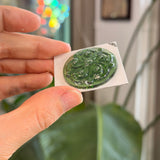 Moss Green Swirl Jewel - Round (35mm) Tools Colorado Glass Works