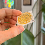 Honey Sundial Jewel - Round (35mm) Tools Colorado Glass Works