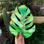 Made To Order | COGW Monstera