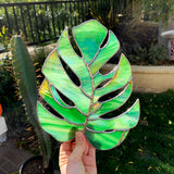 Made To Order | COGW Monstera