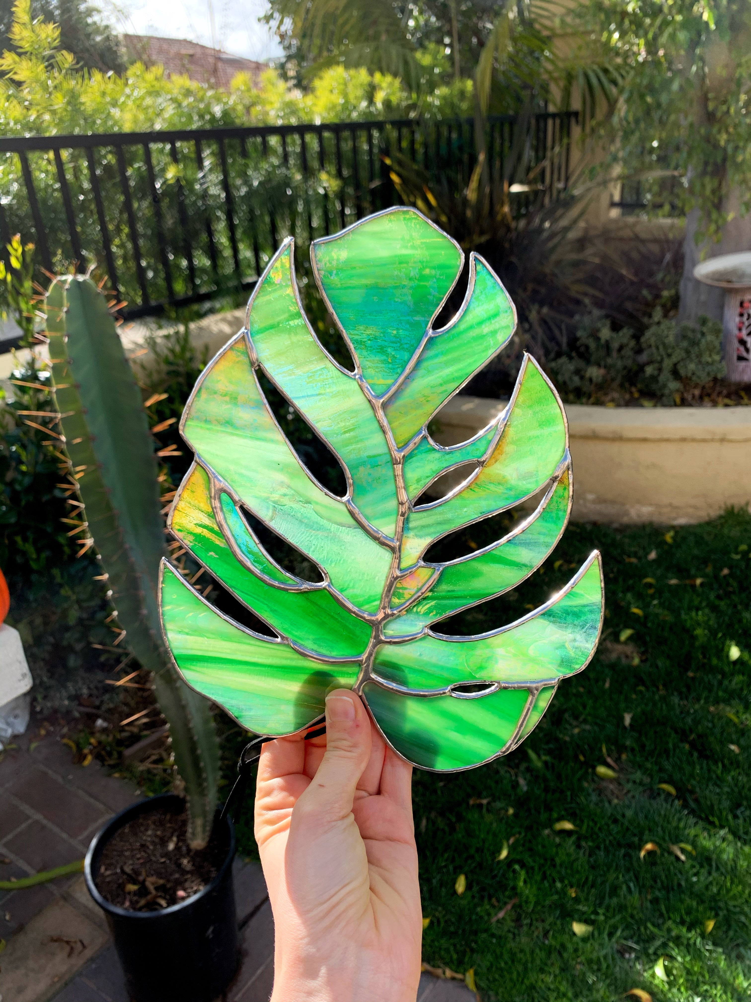 Made To Order | COGW Monstera