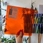 Orange Artique Oceanside Fusible 96 COE Sheet Glass Colorado Glassworks