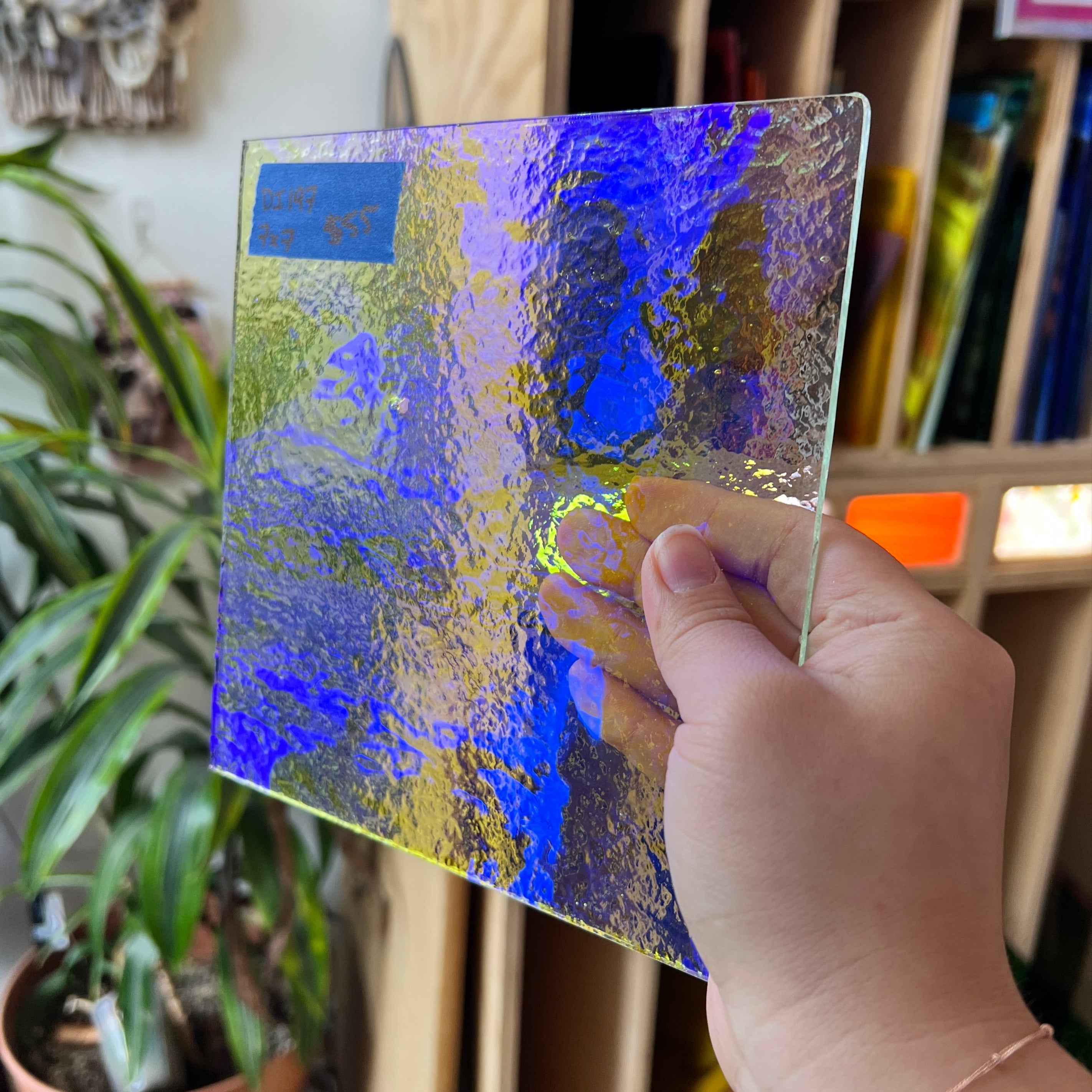 Blue/Yellow Transparent Dichroic Colorado Glass Works DI197 (7x7in)