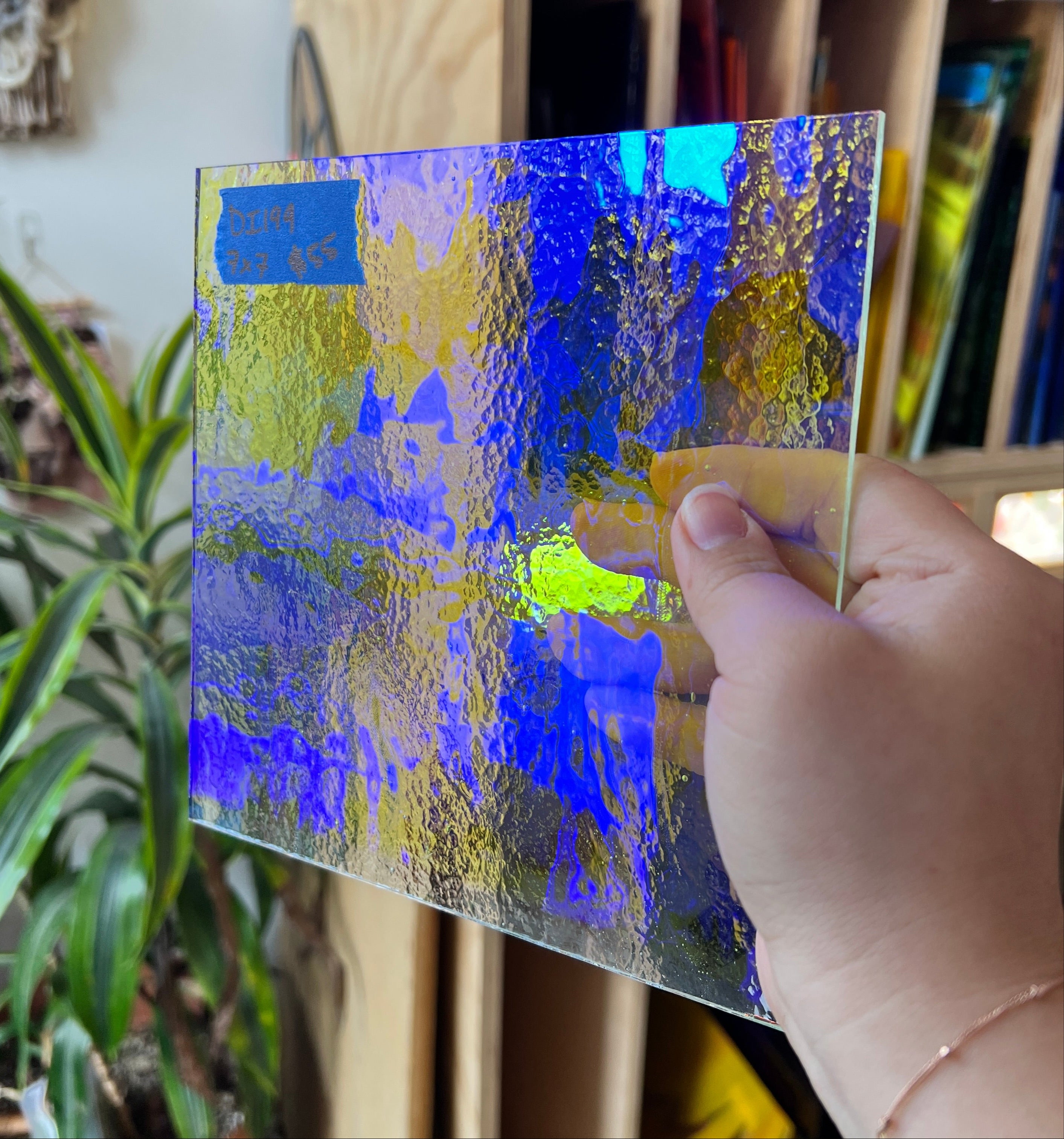 Blue/Yellow Transparent Dichroic Colorado Glass Works DI199 (7x7in)